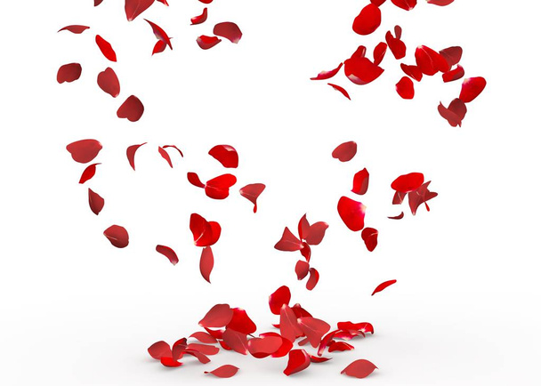 Rosenblätter fallen zu Boden. isolierter Hintergrund - Foto, Bild