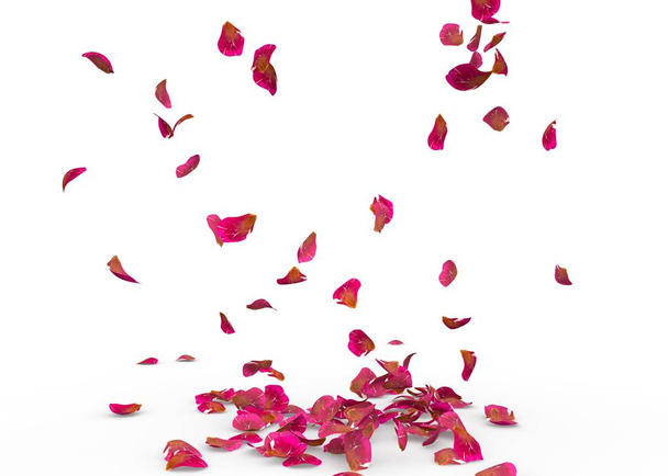 Los pétalos de rosa caen al suelo. Fondo aislado
 - Foto, Imagen