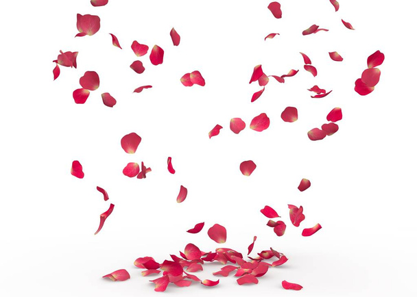 Лепестки роз падают на пол. Изолированный фон
 - Фото, изображение