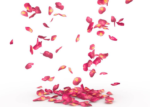 Los pétalos de rosa caen al suelo. Fondo aislado
 - Foto, Imagen