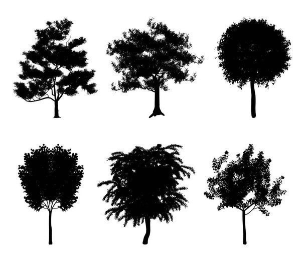 Vector silhouettes of trees for the background and architectural - Vector, Image