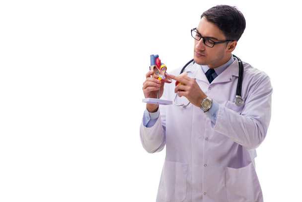 Jonge arts met hartvorm geïsoleerd op wit - Foto, afbeelding