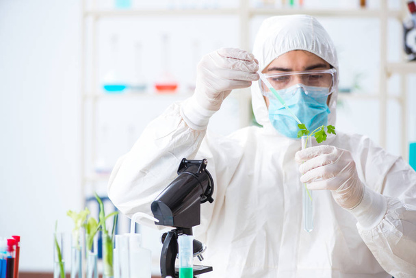 Bioquímico masculino trabalhando no laboratório em plantas - Foto, Imagem