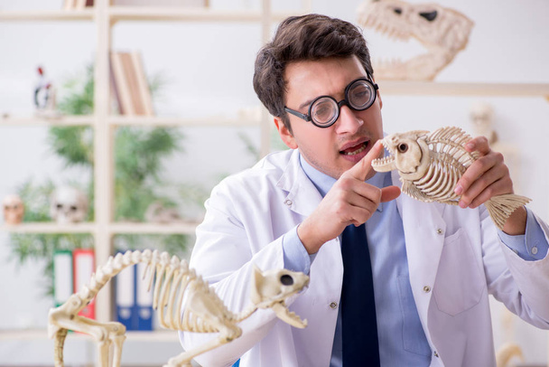 Profesor loco divertido estudiando esqueletos de animales - Foto, imagen