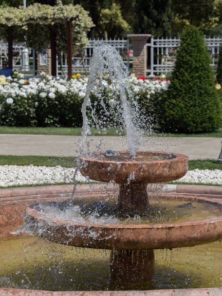 Voda stékající z fontány v růžové zahradě - Fotografie, Obrázek