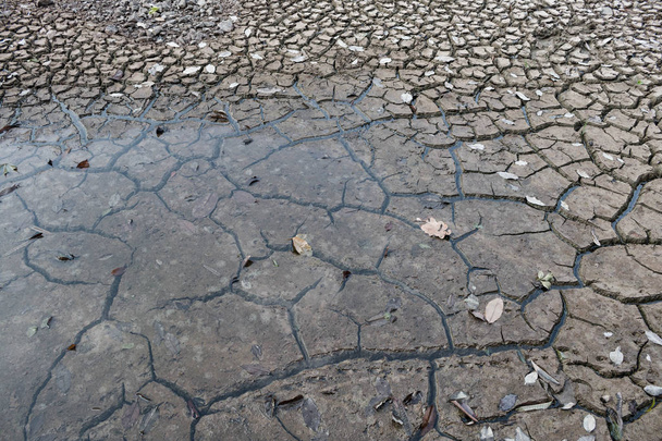Terreno seco à espera de água, conceito de seca
. - Foto, Imagem