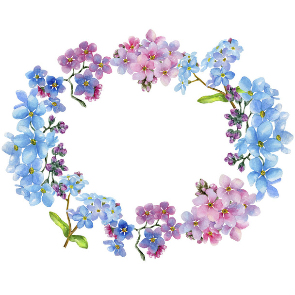 Colorful myosotis. Floral botanical flower. Frame border ornament square. Aquarelle wildflower for background, texture, wrapper pattern, frame or border. - Fotó, kép