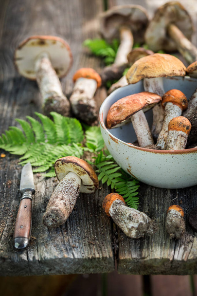 Closeup of raw wild mushrooms collected in the autumn - Fotó, kép