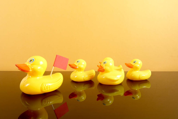 A group of ducks following big duck. Leadership conceptual. - 写真・画像