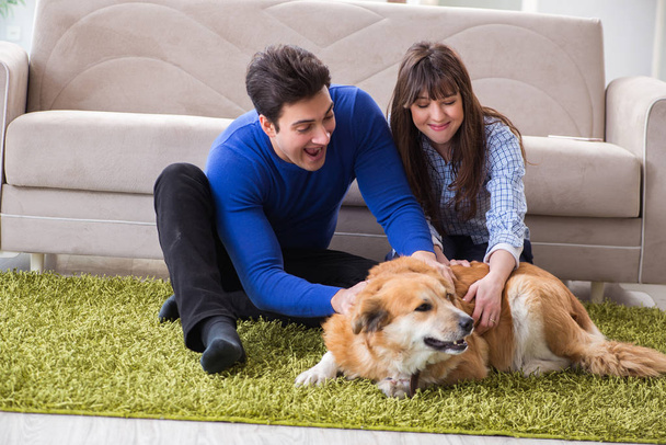 Happy family with golden retriever dog - Фото, изображение