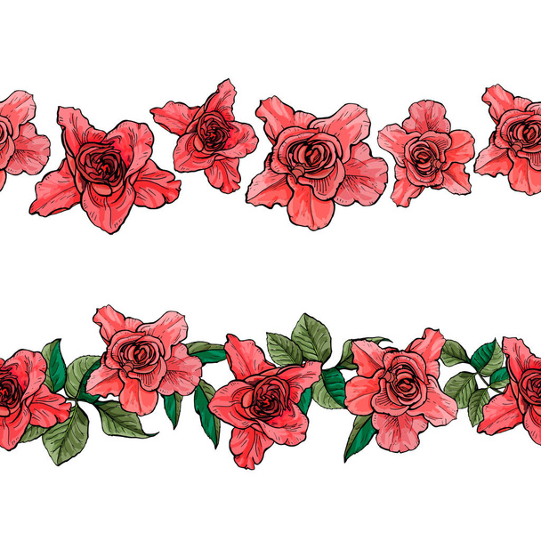 Набор бесшовных орнаментов из роз, векторная ботаническая иллюстрация
. - Вектор,изображение