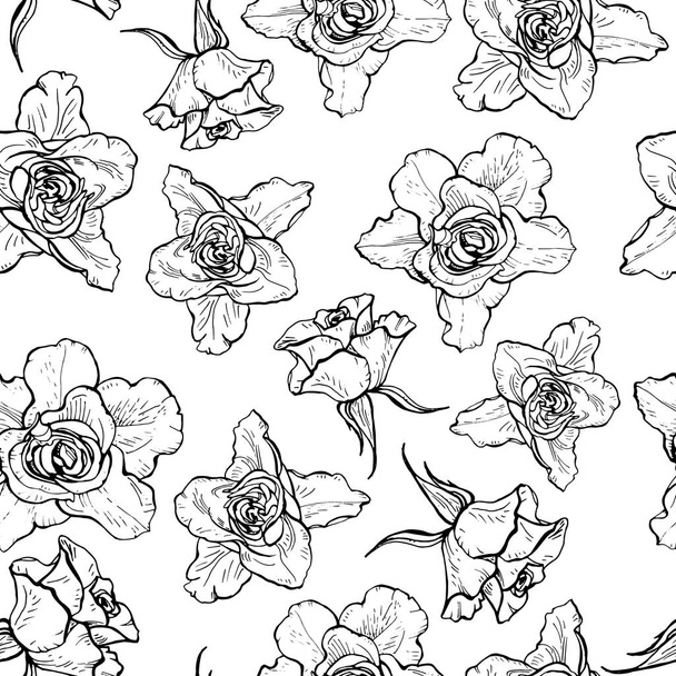 Seamless pattern of black and white graphic roses. vector illustration. - Vector, Image
