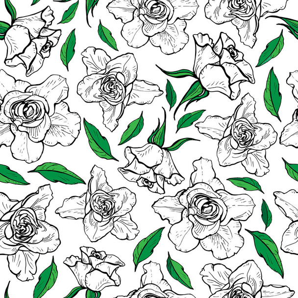 Seamless pattern of graphic roses, vector illustration. - Vector, Image
