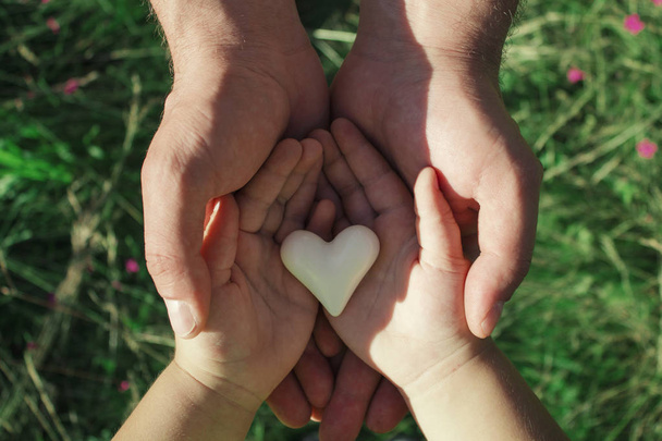 Сердце в руках ребенка и взрослого мужчины, отца и сына держит сердце на фоне природы. Вид сверху
 - Фото, изображение