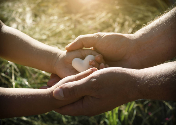 Srdce v rukou dítěte a dospělého člověka, otce a syna v ruce drží srdce v pozadí přírody. Boční pohled - Fotografie, Obrázek