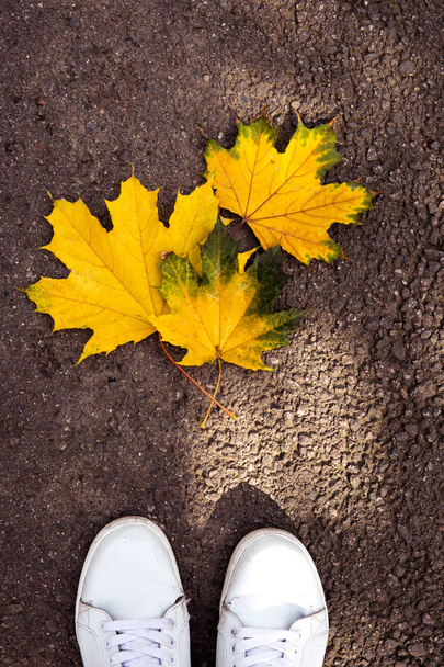 White sneakers on yellow autumn leaves top view. - Photo, Image