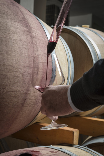 Ιταλία, Σικελία, κόκκινο κρασί, ρίχνει από ένα ξύλινο βαρέλι στο ένα ποτήρι σε ένα κελάρι κρασιού - Φωτογραφία, εικόνα