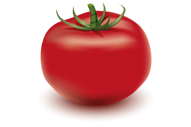 Tomate - rajče - Vektor, obrázek