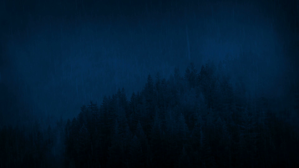 Wilder Wald bei starkem Regen in der Nacht - Filmmaterial, Video