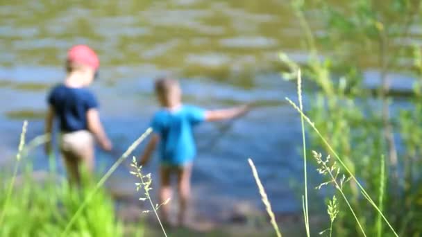 İki çocuk nehir banka balıkçılık çubuklar ile balık yakalamak. Güzel yaz manzara. Açık rekreasyon. - Video, Çekim