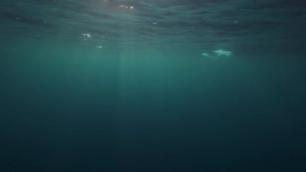 słońce świeci przez powierzchnię oceanu - Materiał filmowy, wideo