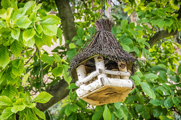 Maison d'oiseaux en bois suspendue à l'arbre vert. Thème d'ornithologie. Scène naturelle saisonnière
.  - Photo, image