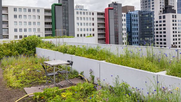 オランダ、ロッテルダムの屋上緑化用培養 - 写真・画像
