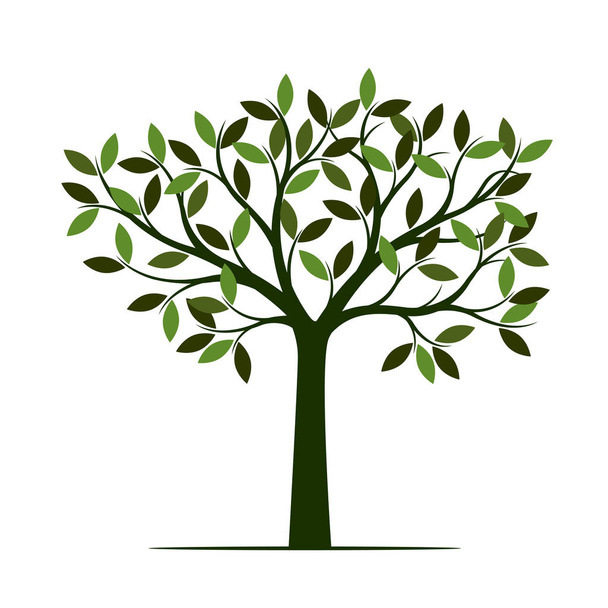 Green summer Tree. Vector Illustration. Plant in garden. - Vector, Imagen