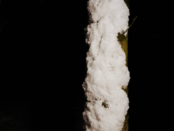 Fagyos fa téli havazás és a hideg Hold fény alatt. Téli természet nézet a havas téli erdő - Fotó, kép