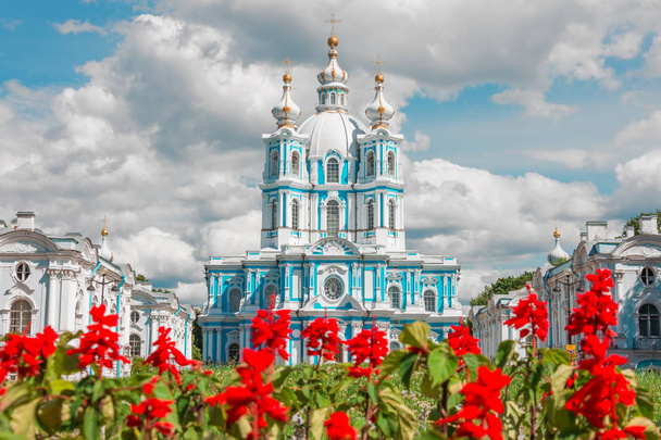Cathédrale Smolny Saint-Pétersbourg et fleurs rouges au premier plan
 - Photo, image