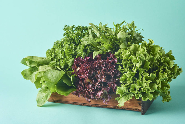 verschiedene Arten von Salatblättern isoliert auf türkisfarbenem Hintergrund. Salat, Rucola, Fries, roter harter Salat, Spinat. - Foto, Bild