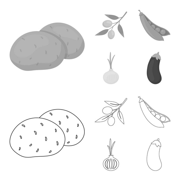Olives on a branch, peas, onions, eggplant. Vegetables set collection icons in outline,monochrome style vector symbol stock illustration web. - Vettoriali, immagini