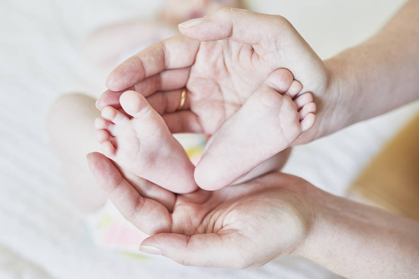feet of a newborn baby in mother's hands - Фото, изображение