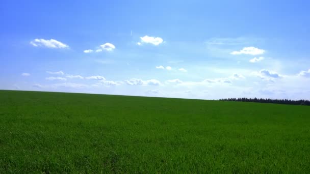 Зеленое поле и облачное небо
 - Кадры, видео