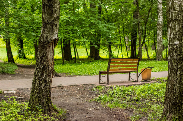 zomer groene natuur buiten park concrete lege weg met houten bankje - Foto, afbeelding