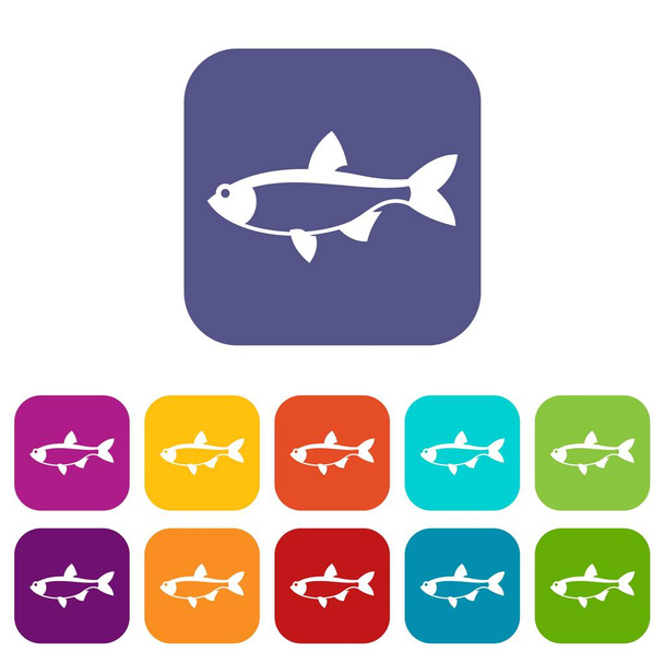 Rudd fish icons set - Vector, Image