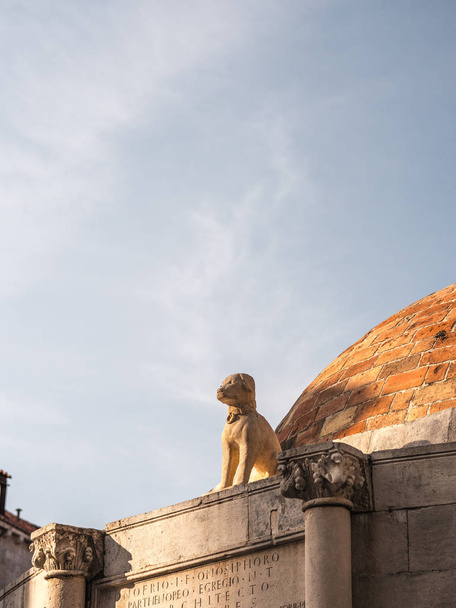 Крупним планом вид на знаменитий Онофріо фонтан і собаку водою в Старе місто з його червоний кладки купольний дах і закруглені і прикрашені фасад. - Фото, зображення