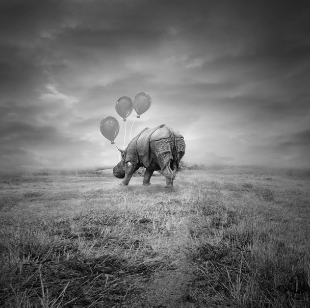 Rhinocéros fantaisie
 - Photo, image