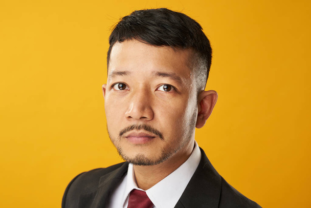 Akıllı Asya adam portresi - Fotoğraf, Görsel