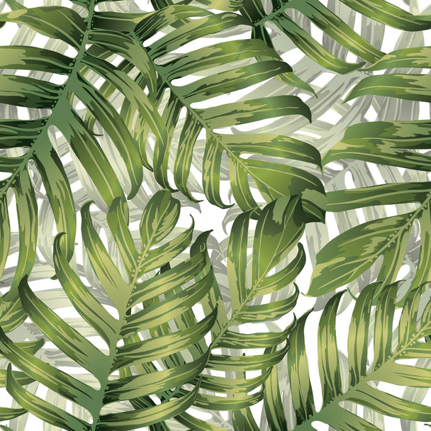 Palma monstera padrão sem costura
 - Vetor, Imagem