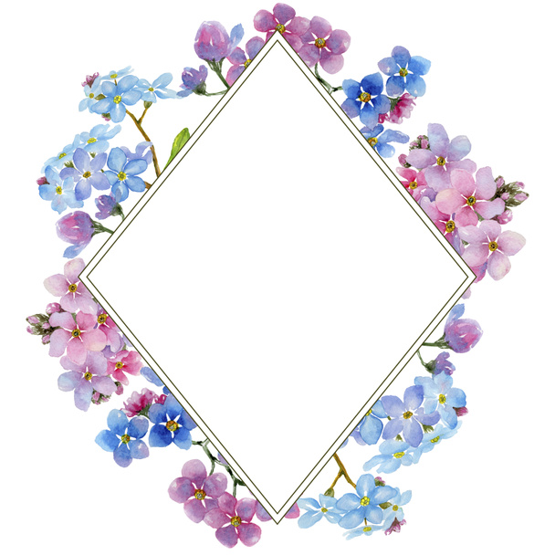 Kleurrijke myosotis. Floral botanische bloem. Frame grens ornament vierkant. Aquarelle wildflower voor achtergrond, textuur, wrapper patroon, frame of rand. - Foto, afbeelding