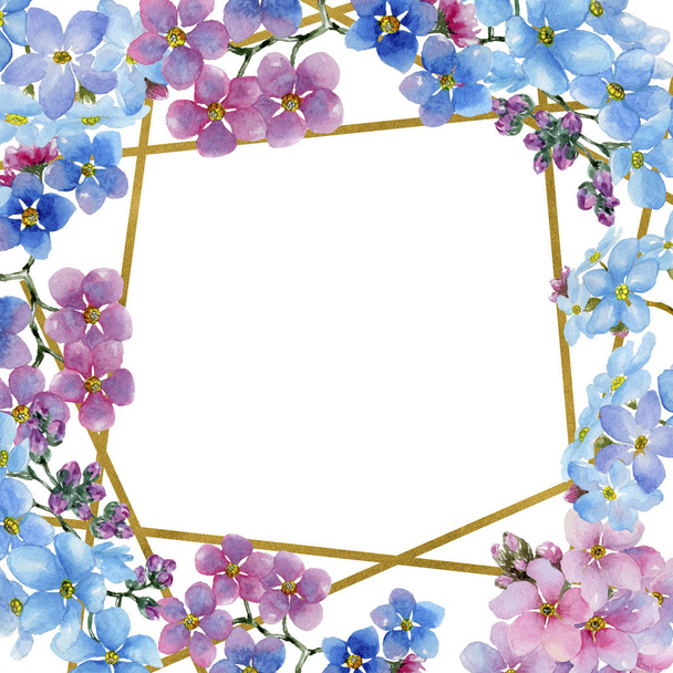 Colorful myosotis. Floral botanical flower. Frame border ornament square. Aquarelle wildflower for background, texture, wrapper pattern, frame or border. - Photo, Image