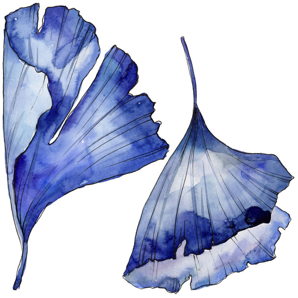 Les feuilles de Ginkgo dans un style aquarelle isolé. Feuille Aquarelle pour fond, texture, motif d'emballage, cadre ou bordure
. - Photo, image