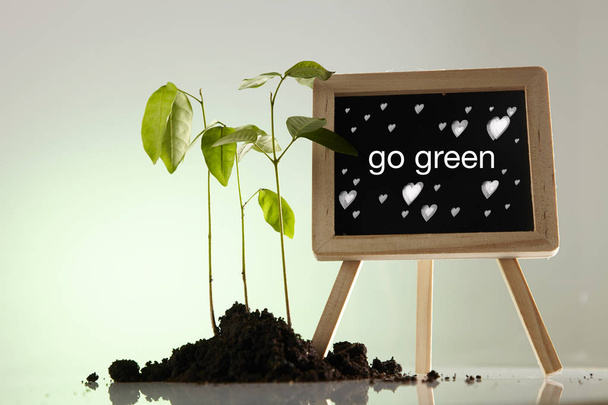 mini blackboard and young green plant on soil - Photo, image