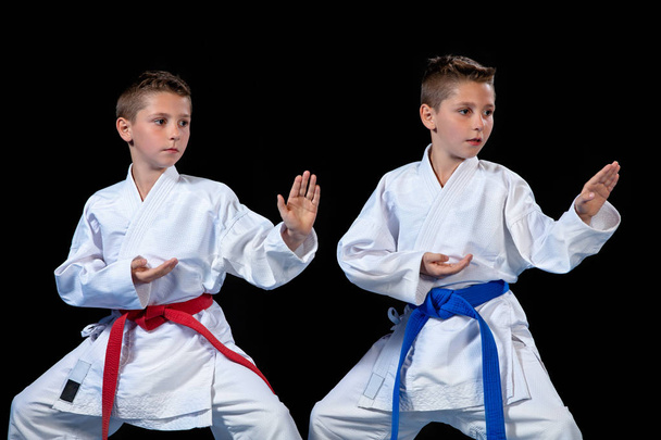 two boys training karate kata exercises at test qualification - Foto, imagen