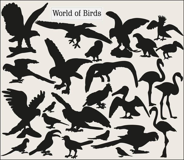 Conjunto de siluetas vectoriales de aves sobre un fondo gris claro
 - Vector, Imagen