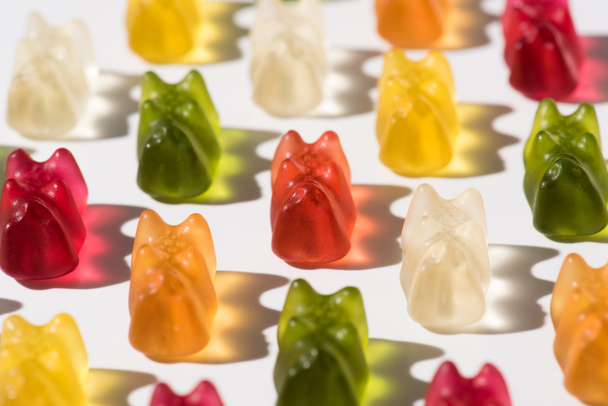 close-up shot of sweet gummy bears pattern lying on white - Foto, immagini