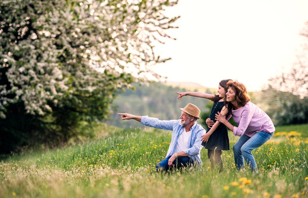 Senior couple with granddaughter outside in spring nature, pointing finger at something. - Foto, Imagen