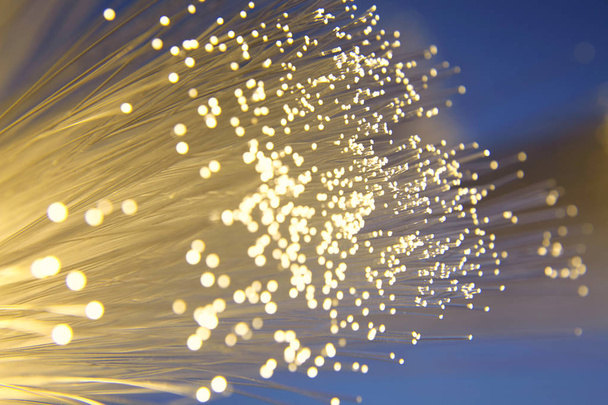 fibre optic for telecommunication, close up - Foto, immagini