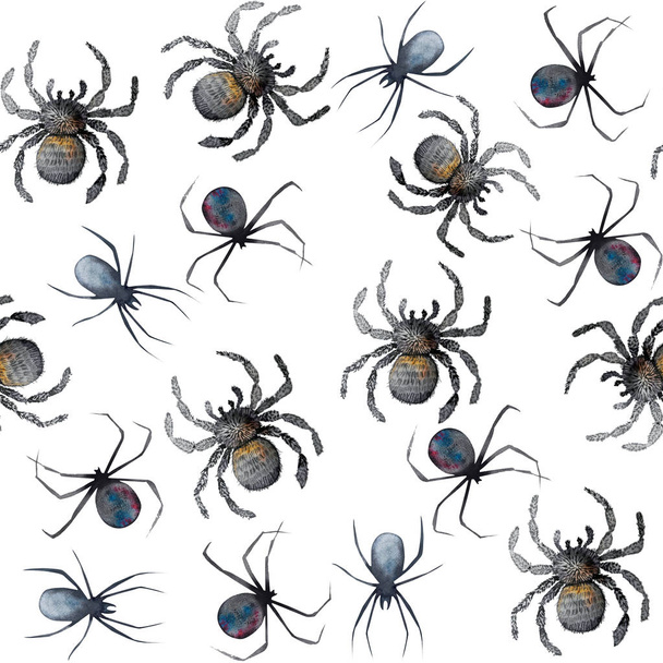 Akvarel vzor spider zvíře - Fotografie, Obrázek